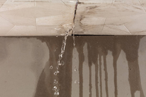 Professional Water Damage Restoration technician working in Harwood, MD